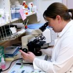 Dr. Tucker looking in a microscope